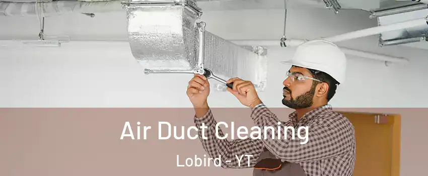  Air Duct Cleaning Lobird - YT