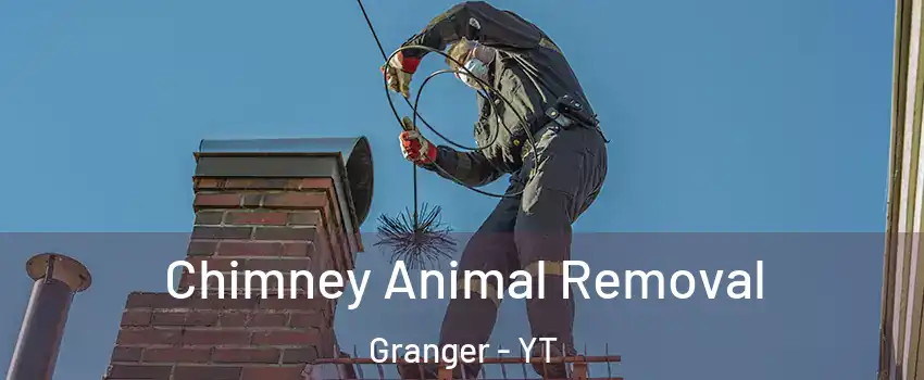  Chimney Animal Removal Granger - YT
