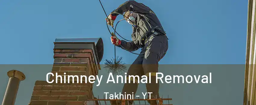  Chimney Animal Removal Takhini - YT