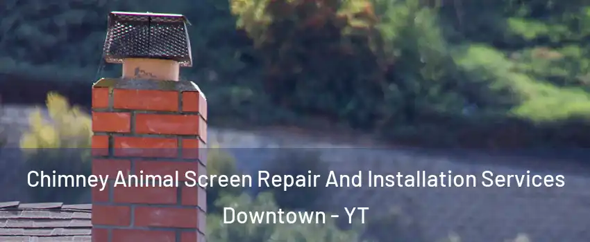  Chimney Animal Screen Repair And Installation Services Downtown - YT