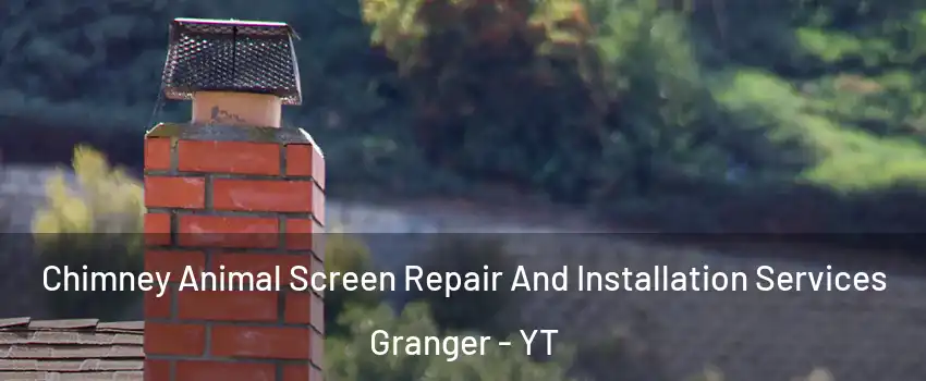  Chimney Animal Screen Repair And Installation Services Granger - YT