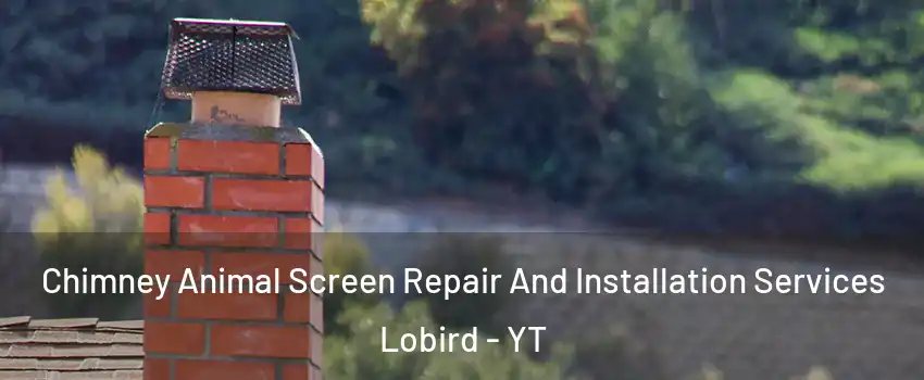  Chimney Animal Screen Repair And Installation Services Lobird - YT