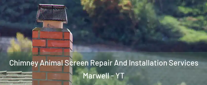  Chimney Animal Screen Repair And Installation Services Marwell - YT