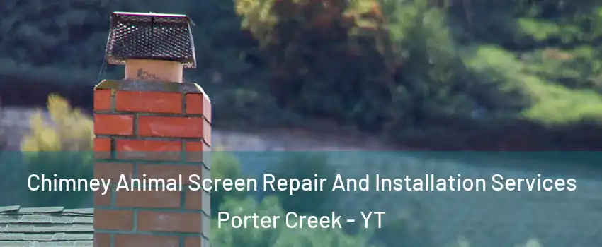  Chimney Animal Screen Repair And Installation Services Porter Creek - YT