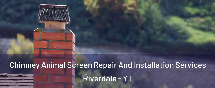  Chimney Animal Screen Repair And Installation Services Riverdale - YT