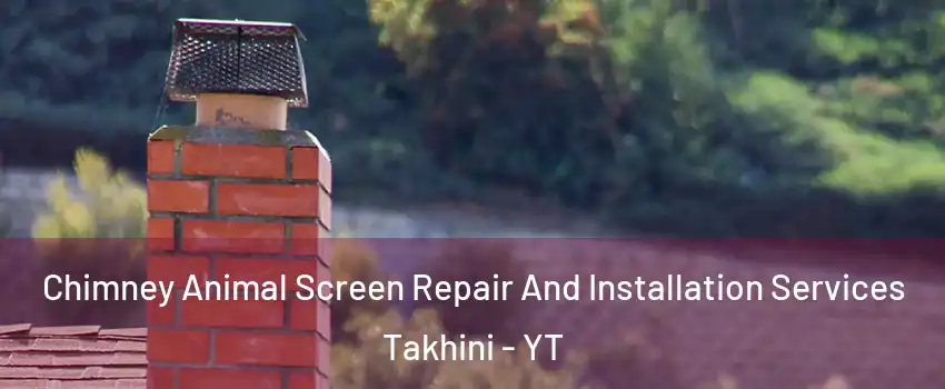 Chimney Animal Screen Repair And Installation Services Takhini - YT