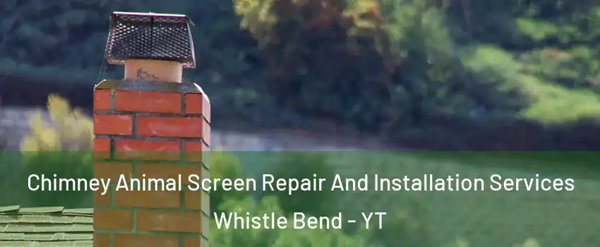  Chimney Animal Screen Repair And Installation Services Whistle Bend - YT