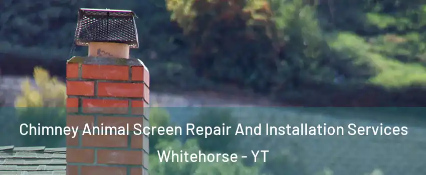  Chimney Animal Screen Repair And Installation Services Whitehorse - YT