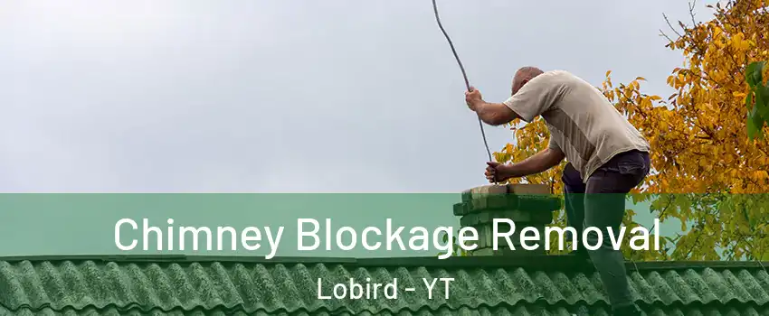  Chimney Blockage Removal Lobird - YT