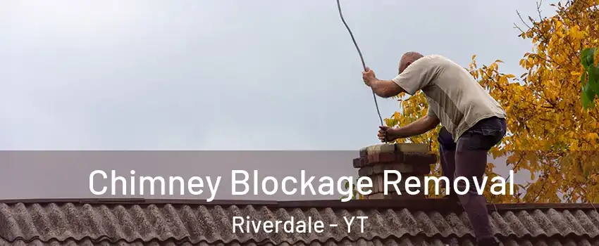  Chimney Blockage Removal Riverdale - YT