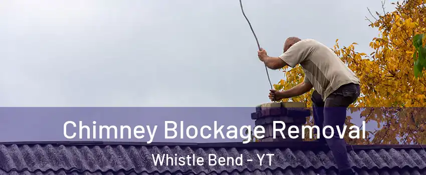  Chimney Blockage Removal Whistle Bend - YT