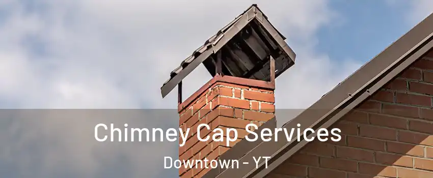  Chimney Cap Services Downtown - YT