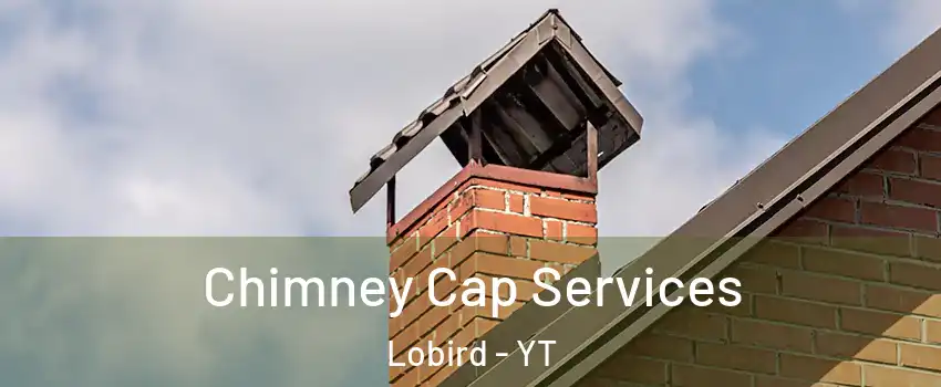  Chimney Cap Services Lobird - YT