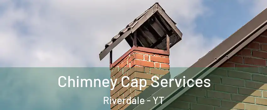  Chimney Cap Services Riverdale - YT