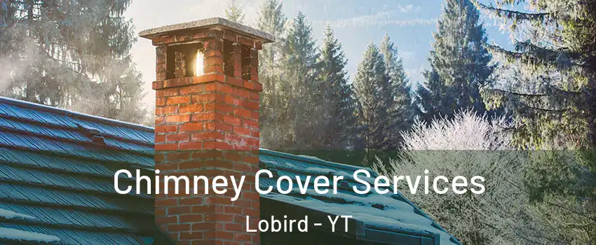  Chimney Cover Services Lobird - YT