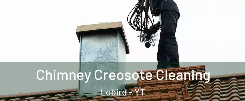  Chimney Creosote Cleaning Lobird - YT