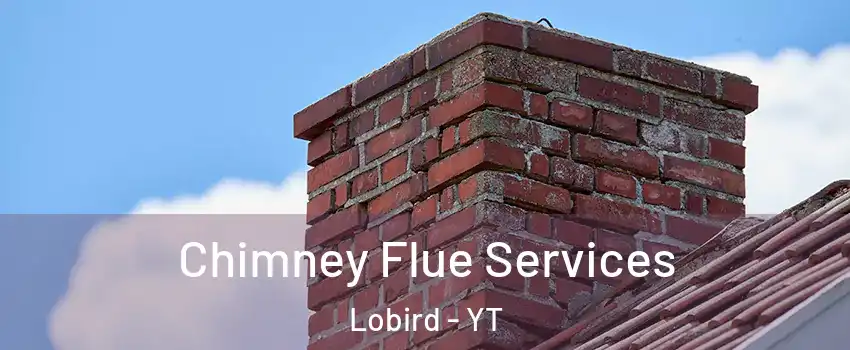  Chimney Flue Services Lobird - YT