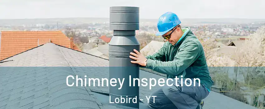  Chimney Inspection Lobird - YT