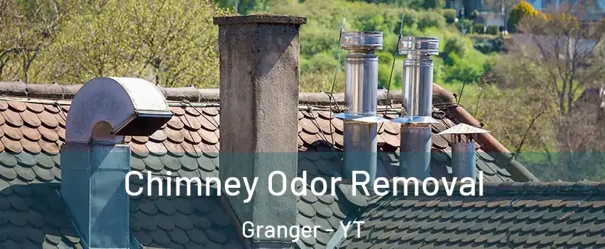  Chimney Odor Removal Granger - YT