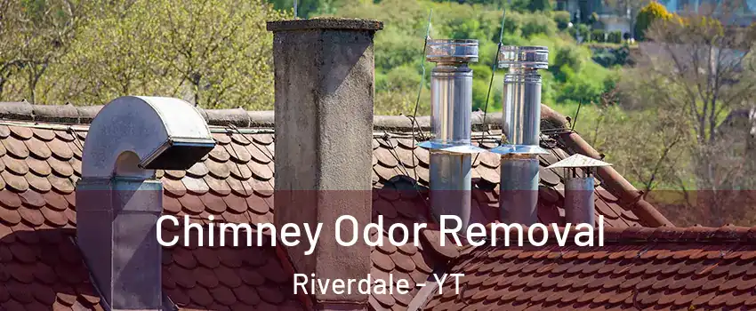  Chimney Odor Removal Riverdale - YT