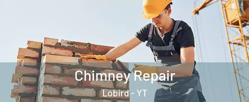  Chimney Repair Lobird - YT