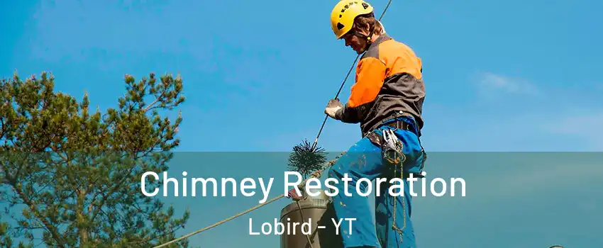  Chimney Restoration Lobird - YT