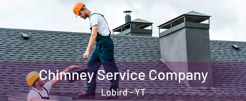 Chimney Service Company Lobird - YT