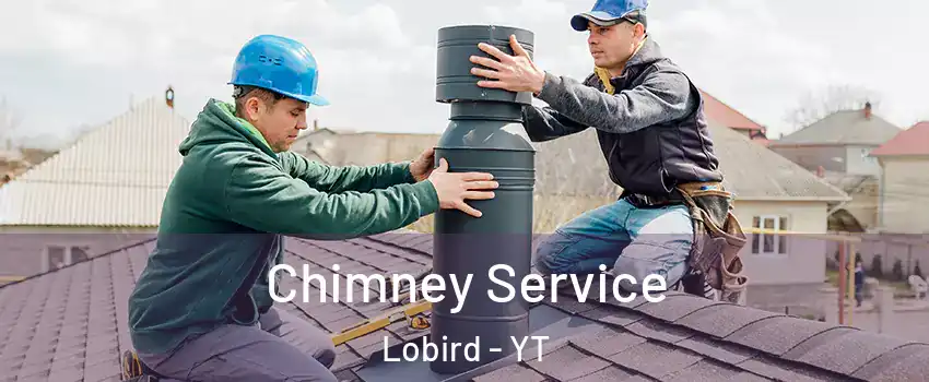  Chimney Service Lobird - YT