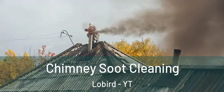 Chimney Soot Cleaning Lobird - YT