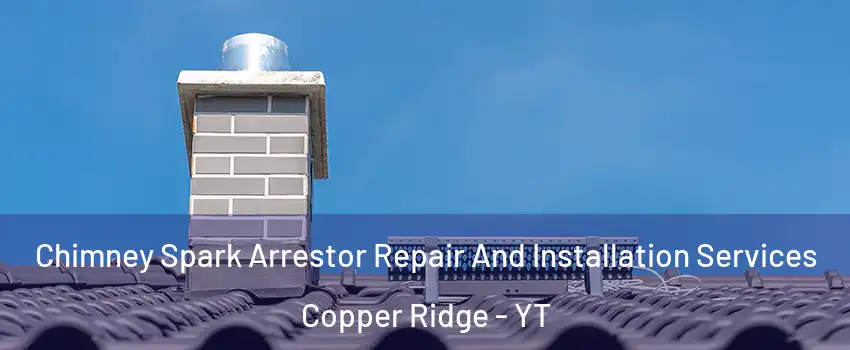  Chimney Spark Arrestor Repair And Installation Services Copper Ridge - YT