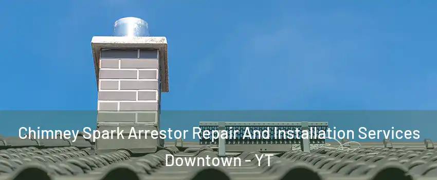  Chimney Spark Arrestor Repair And Installation Services Downtown - YT