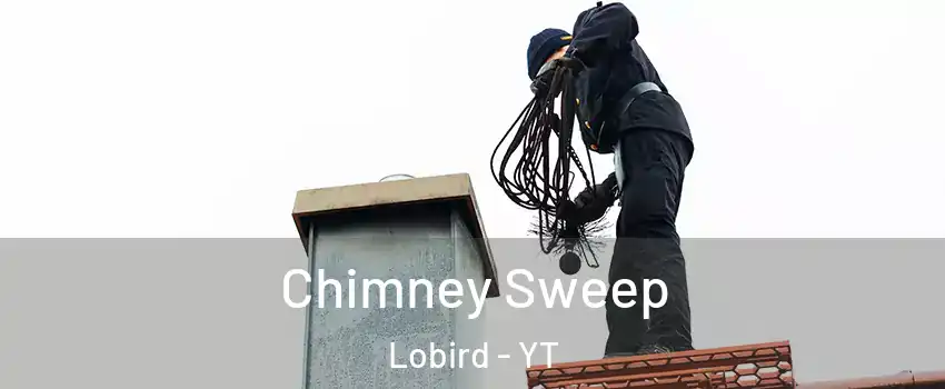  Chimney Sweep Lobird - YT