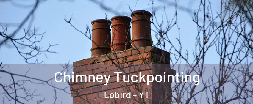  Chimney Tuckpointing Lobird - YT