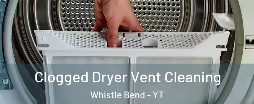  Clogged Dryer Vent Cleaning Whistle Bend - YT