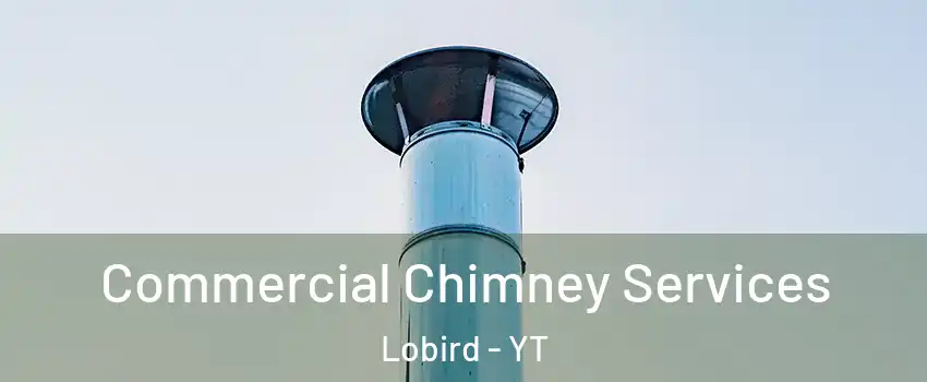  Commercial Chimney Services Lobird - YT