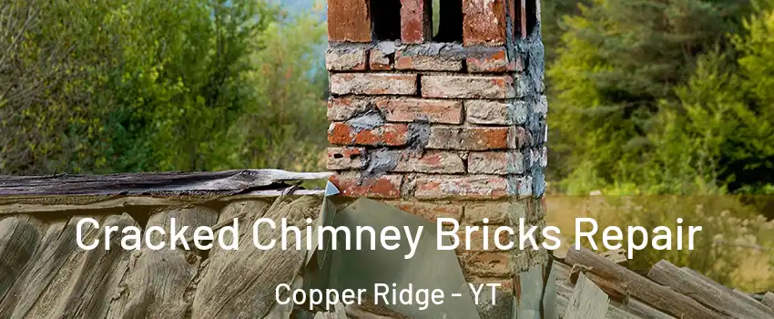  Cracked Chimney Bricks Repair Copper Ridge - YT