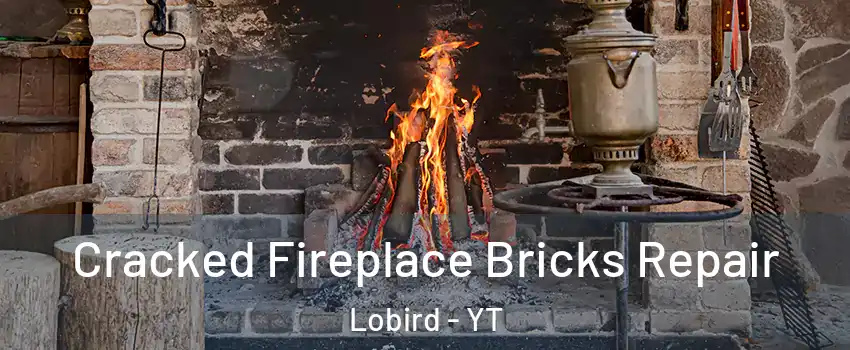  Cracked Fireplace Bricks Repair Lobird - YT