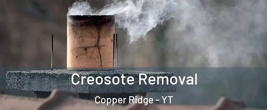  Creosote Removal Copper Ridge - YT