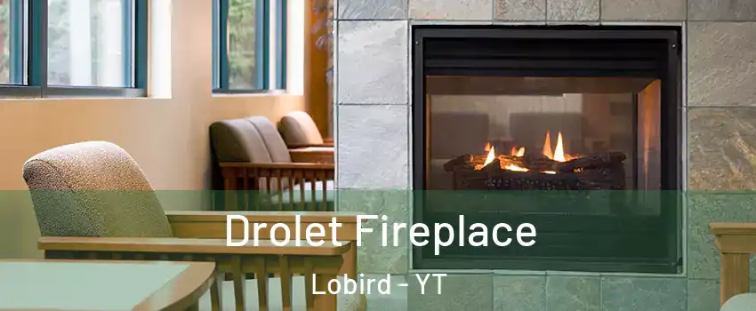  Drolet Fireplace Lobird - YT
