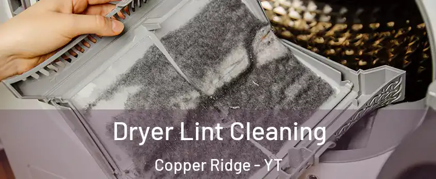  Dryer Lint Cleaning Copper Ridge - YT
