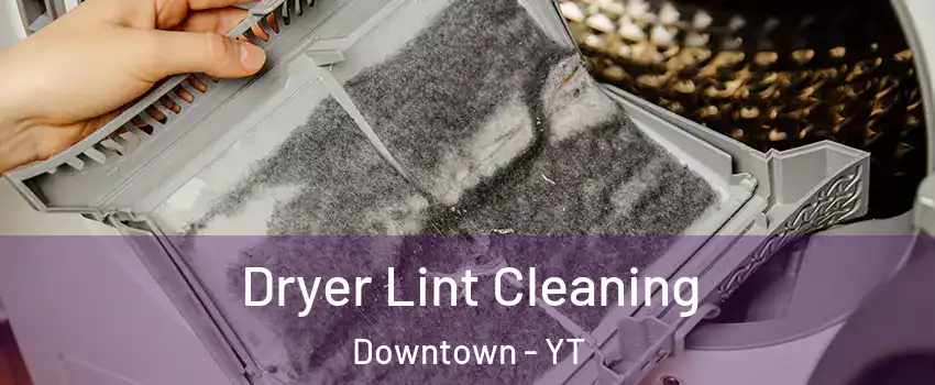  Dryer Lint Cleaning Downtown - YT