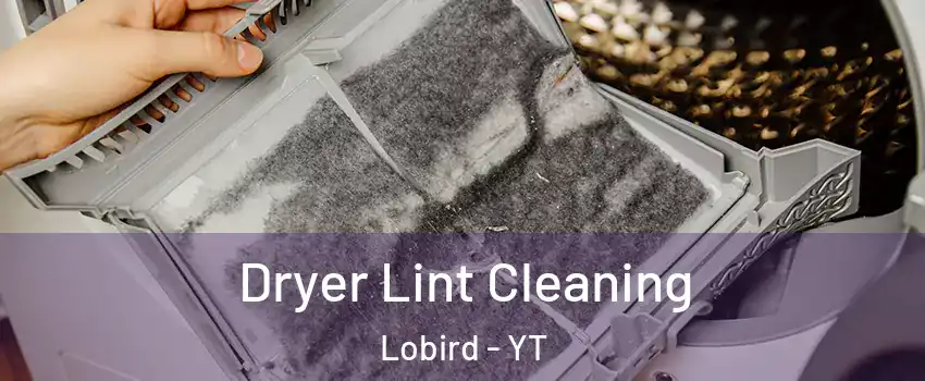  Dryer Lint Cleaning Lobird - YT