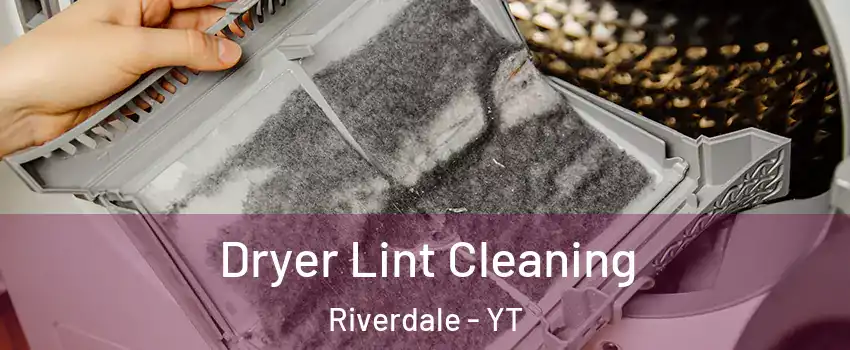  Dryer Lint Cleaning Riverdale - YT