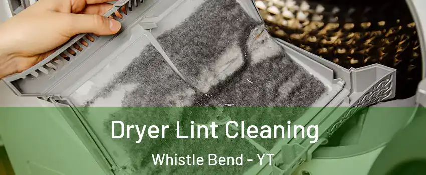  Dryer Lint Cleaning Whistle Bend - YT