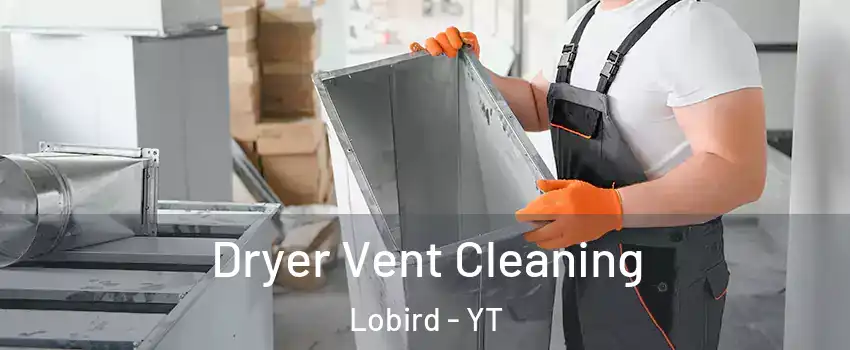  Dryer Vent Cleaning Lobird - YT
