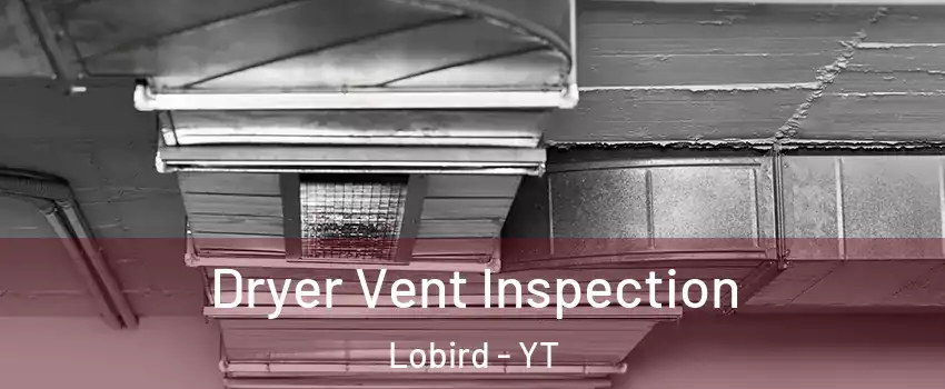  Dryer Vent Inspection Lobird - YT