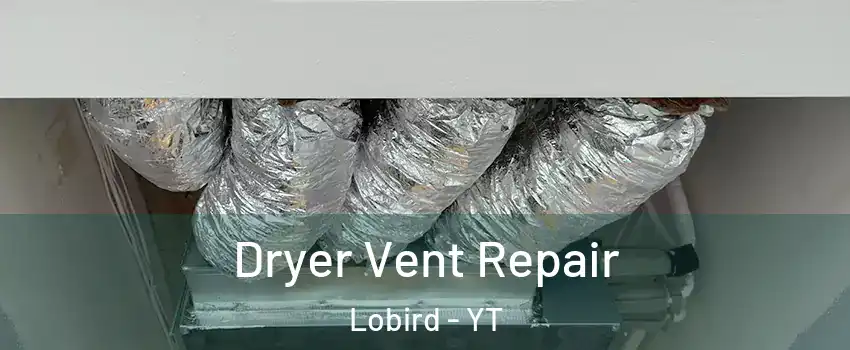  Dryer Vent Repair Lobird - YT