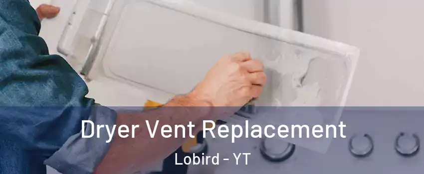  Dryer Vent Replacement Lobird - YT