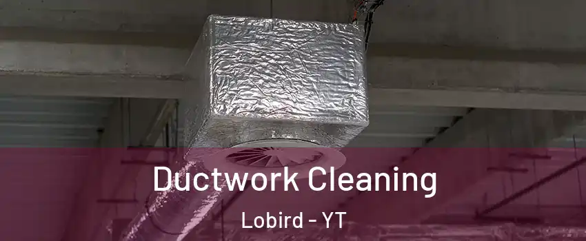  Ductwork Cleaning Lobird - YT