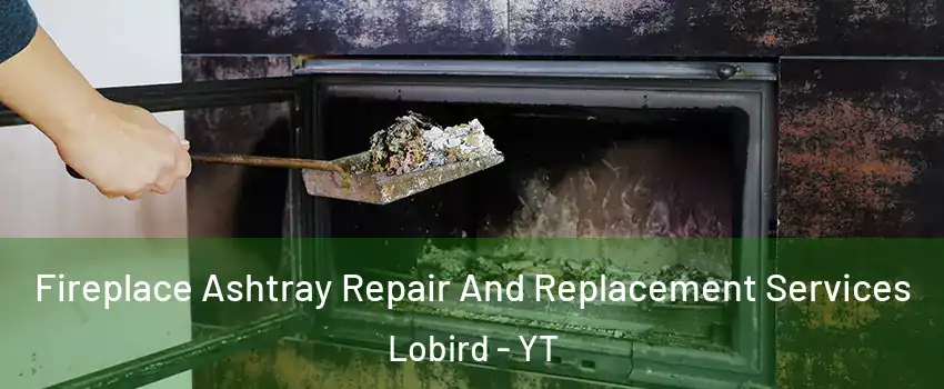  Fireplace Ashtray Repair And Replacement Services Lobird - YT
